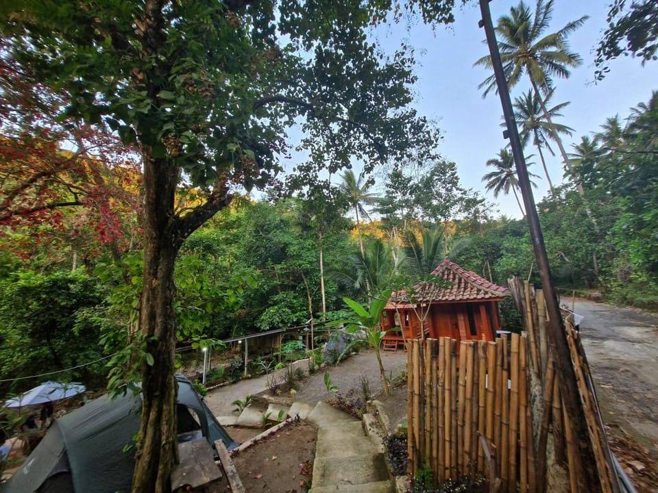 Natural landscape