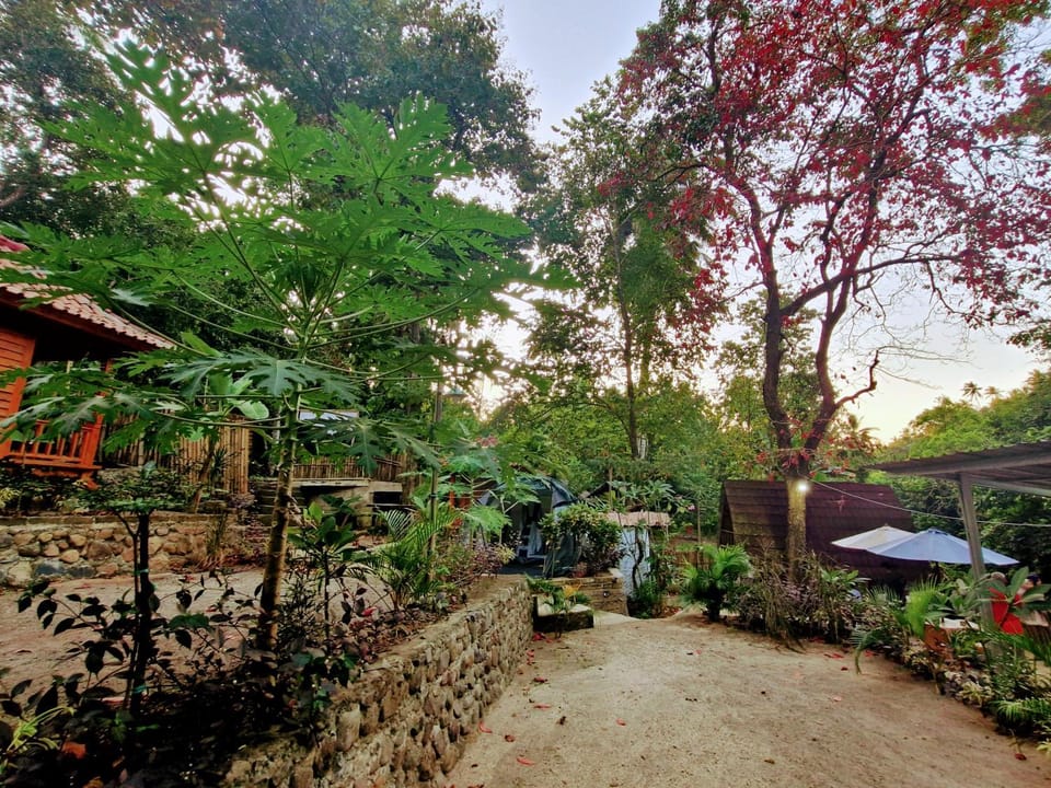 Garden view