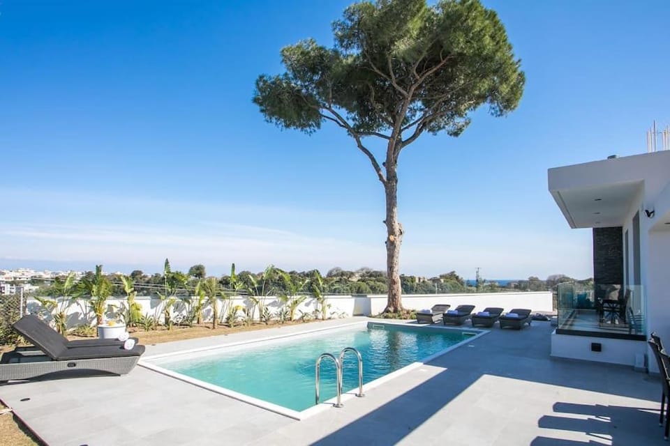 Day, Pool view, Swimming pool, sunbed