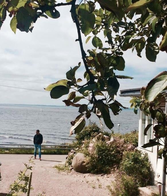Cottage by the ocean House in Skåne County