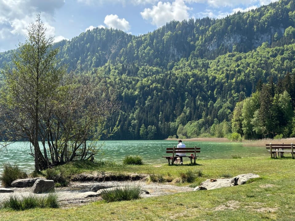 Landhaus am Weissensee Apartment in Fussen