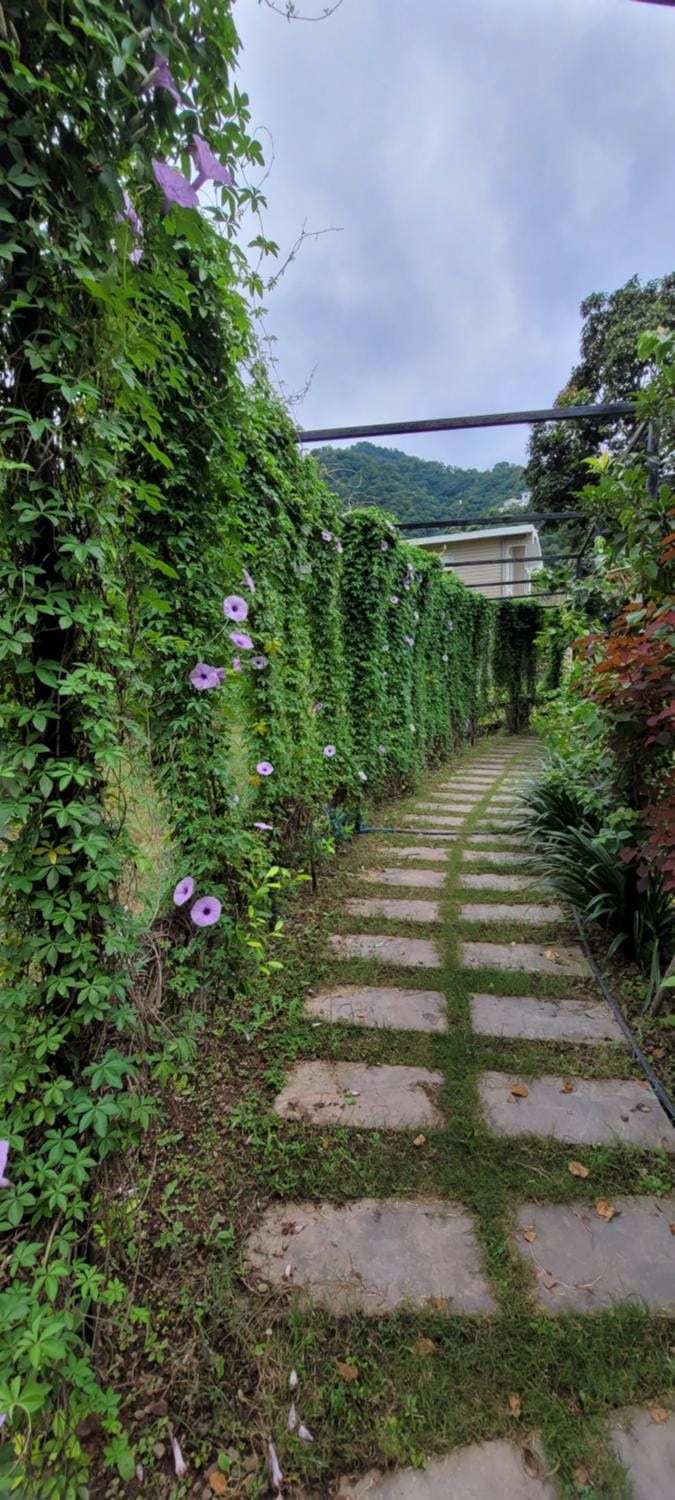Aristaa Morni Hills: Pristine Stay in the Wild House in Haryana