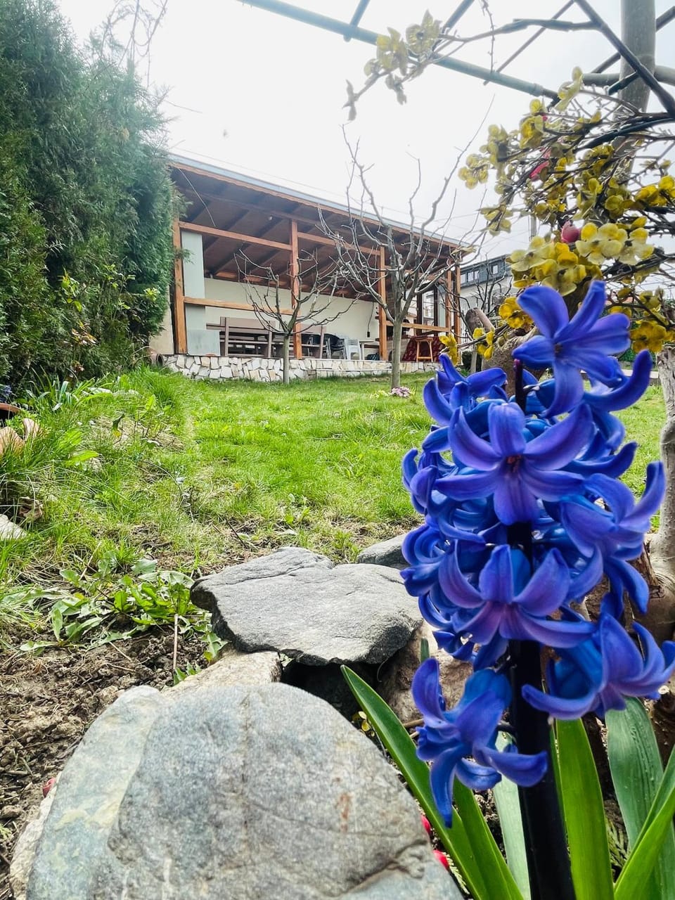 Вила Маца Villa in North Macedonia