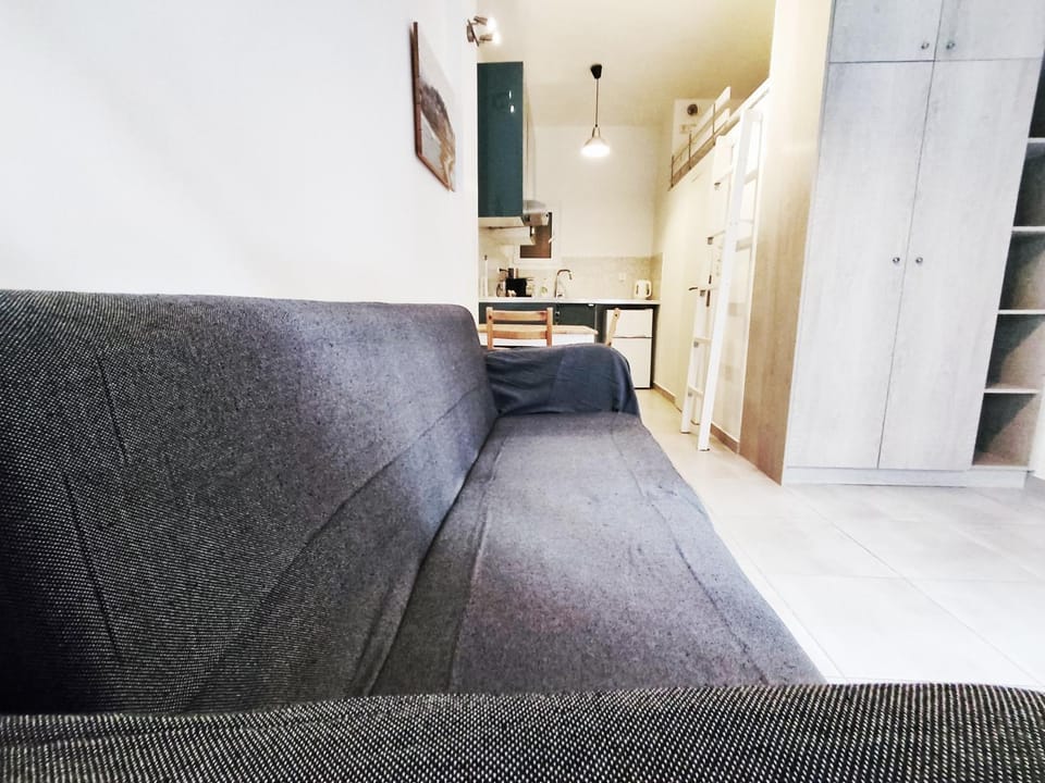 Kitchen or kitchenette, Living room, Photo of the whole room, Seating area