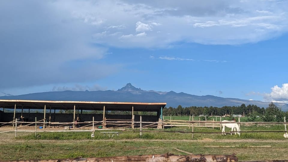 Mountain view