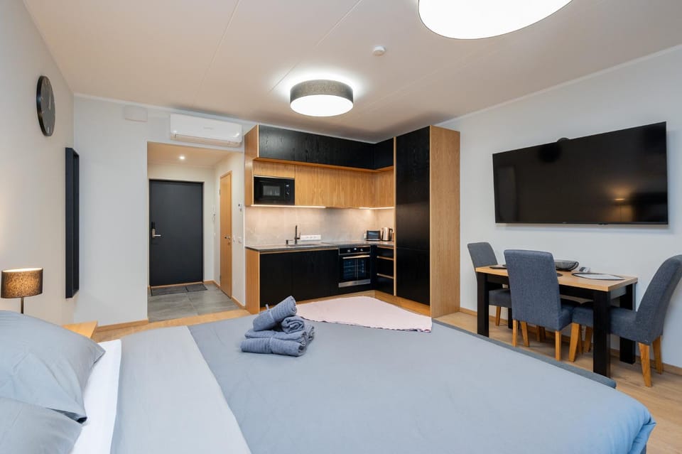 TartuKodu Riia 22-21 Apartment in Estonia