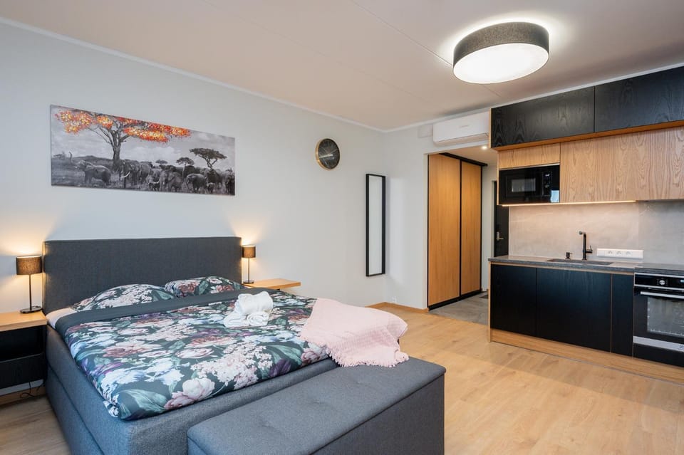 TartuKodu Riia 22-29 Apartment in Estonia