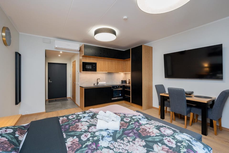 TartuKodu Riia 22-29 Apartment in Estonia