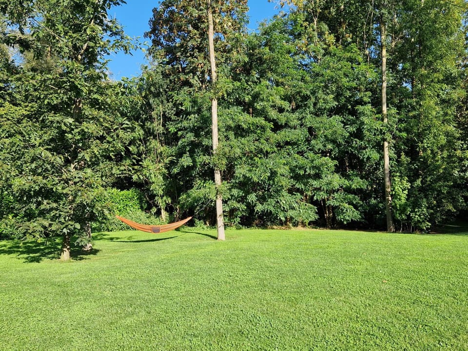 Volledige gezinswoning te huur Villa in Flanders