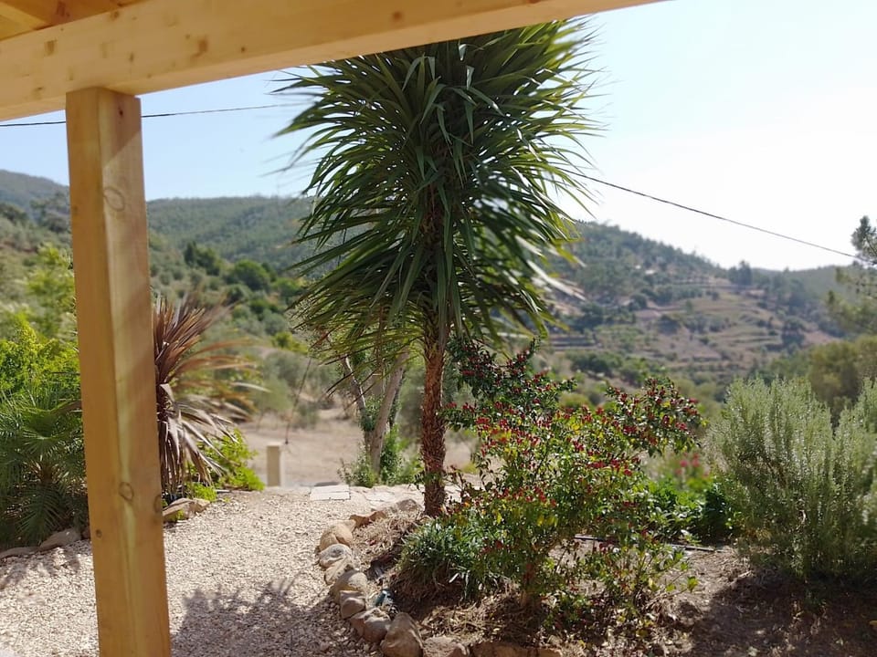 Balcony/Terrace, Garden view