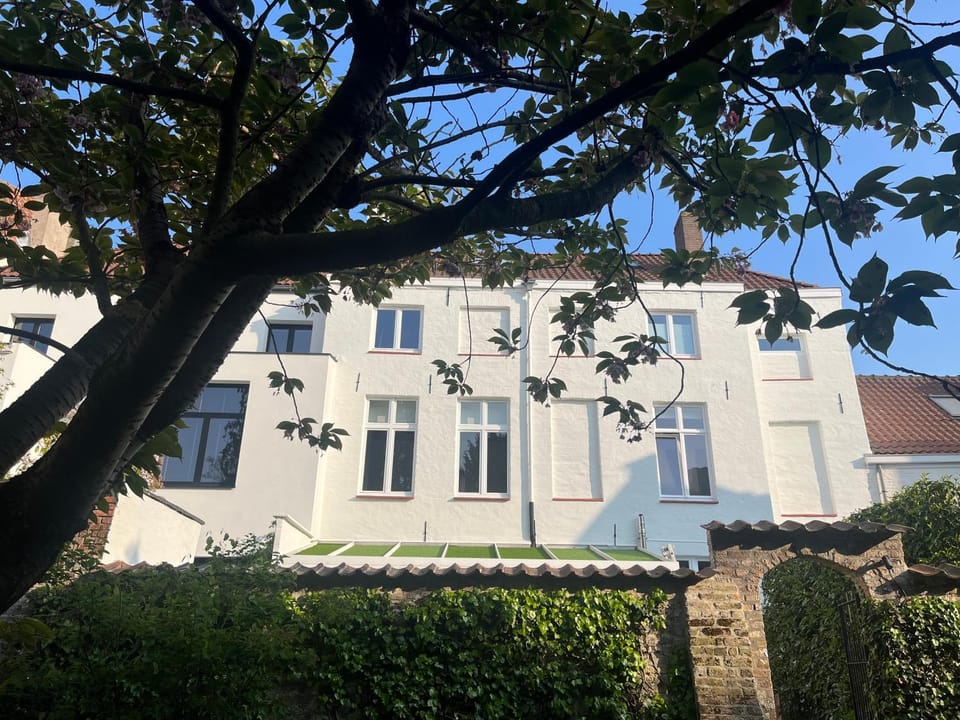 Property building, Garden view