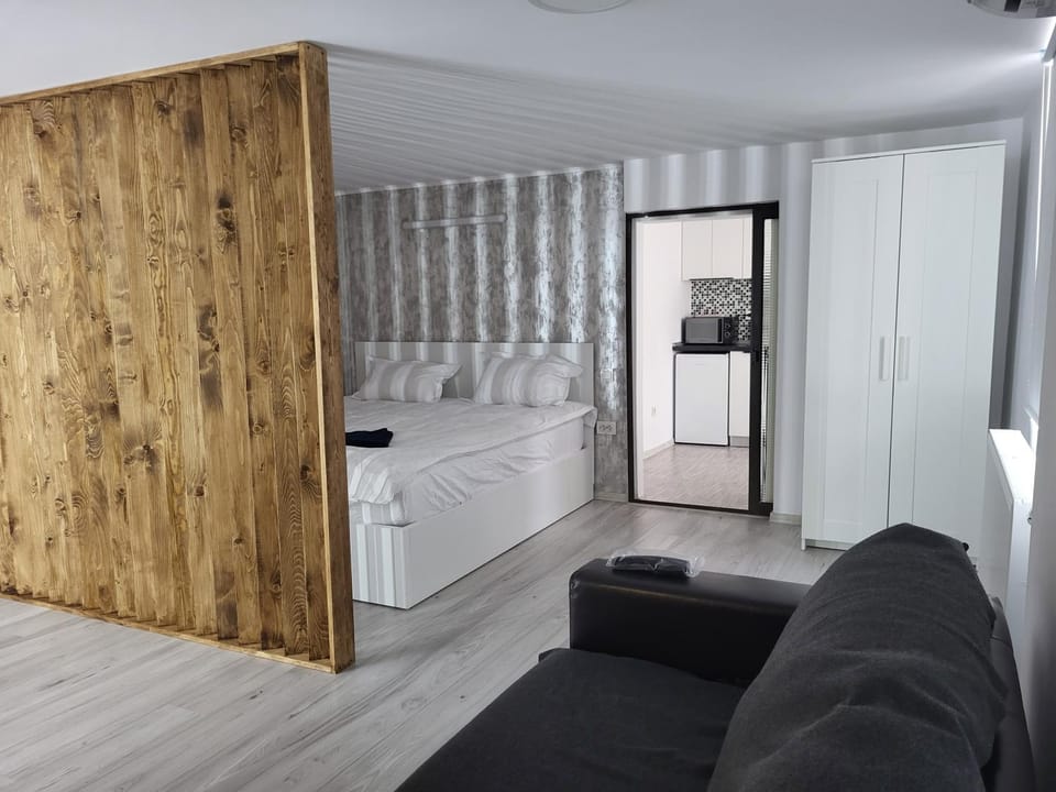 Julien Central Home Apartment in Romania