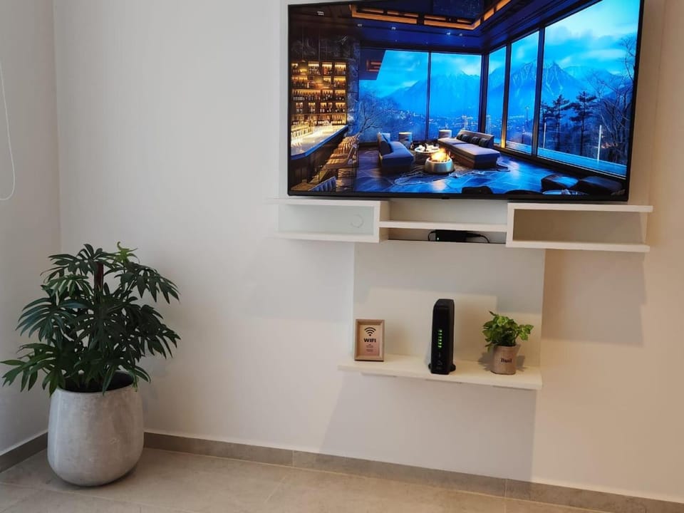 TV and multimedia