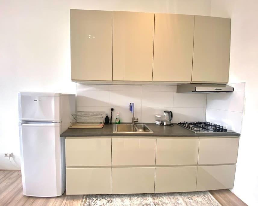Kitchen or kitchenette, dishwasher, stove