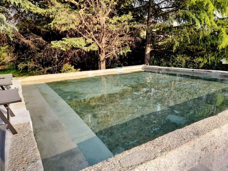 Day, Garden, Swimming pool