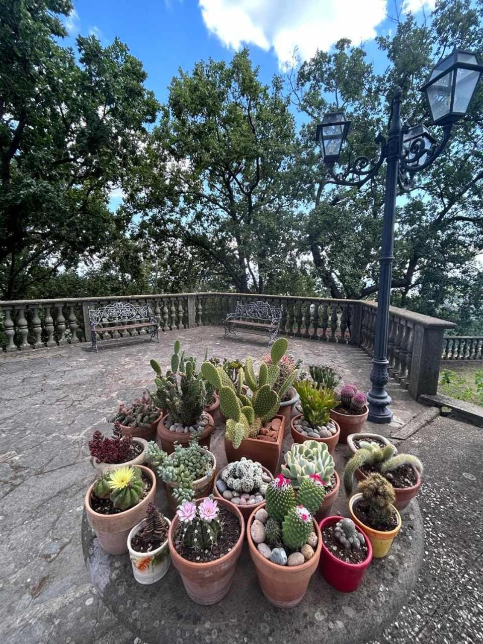 Casa Anna Maria Apartment in Lazio