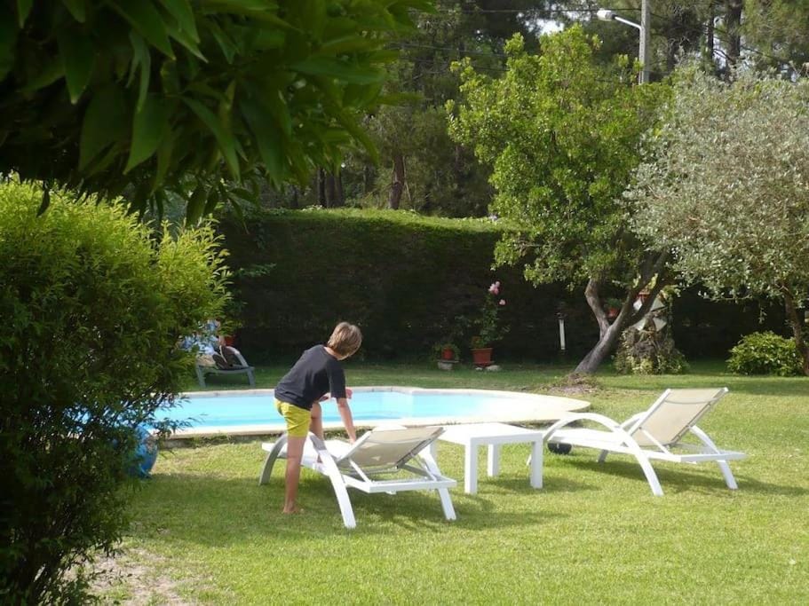 Garden, Swimming pool, sunbed