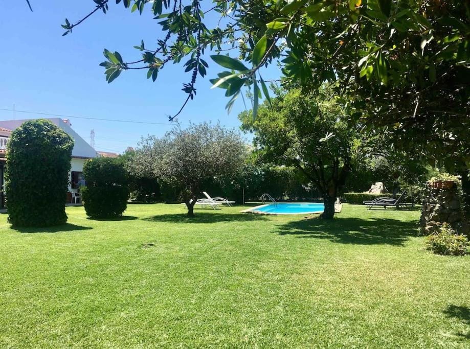 Garden, Swimming pool, sunbed