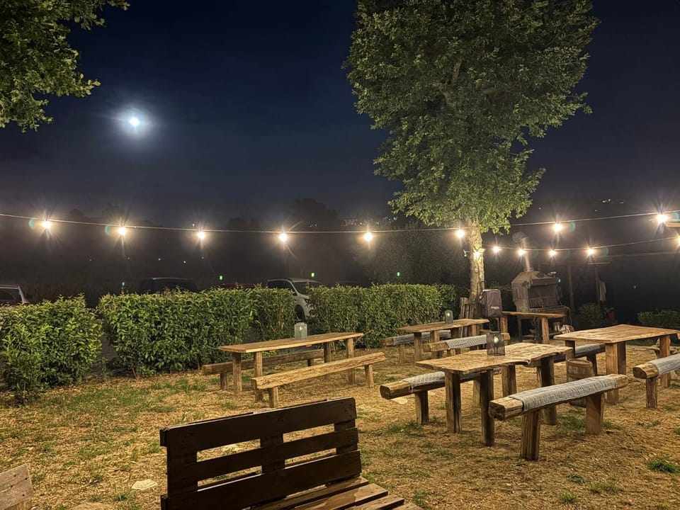 Night, Garden, Garden view