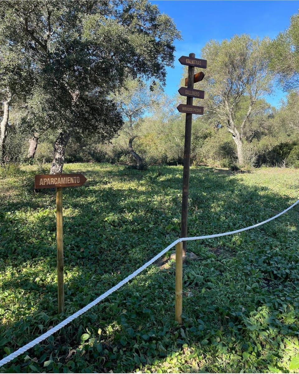 Natural landscape, Garden