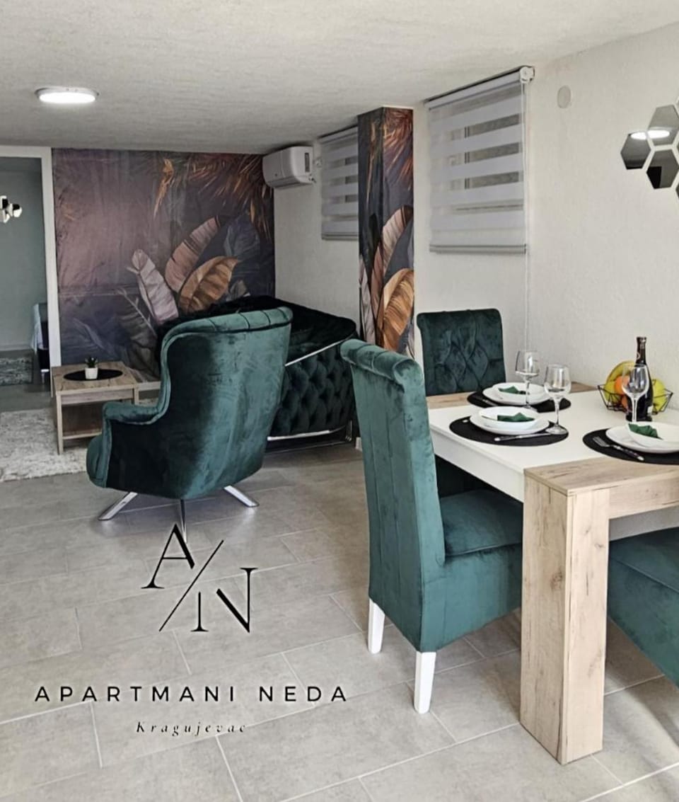 Apartmani Neda Kragujevac Apartment in Serbia