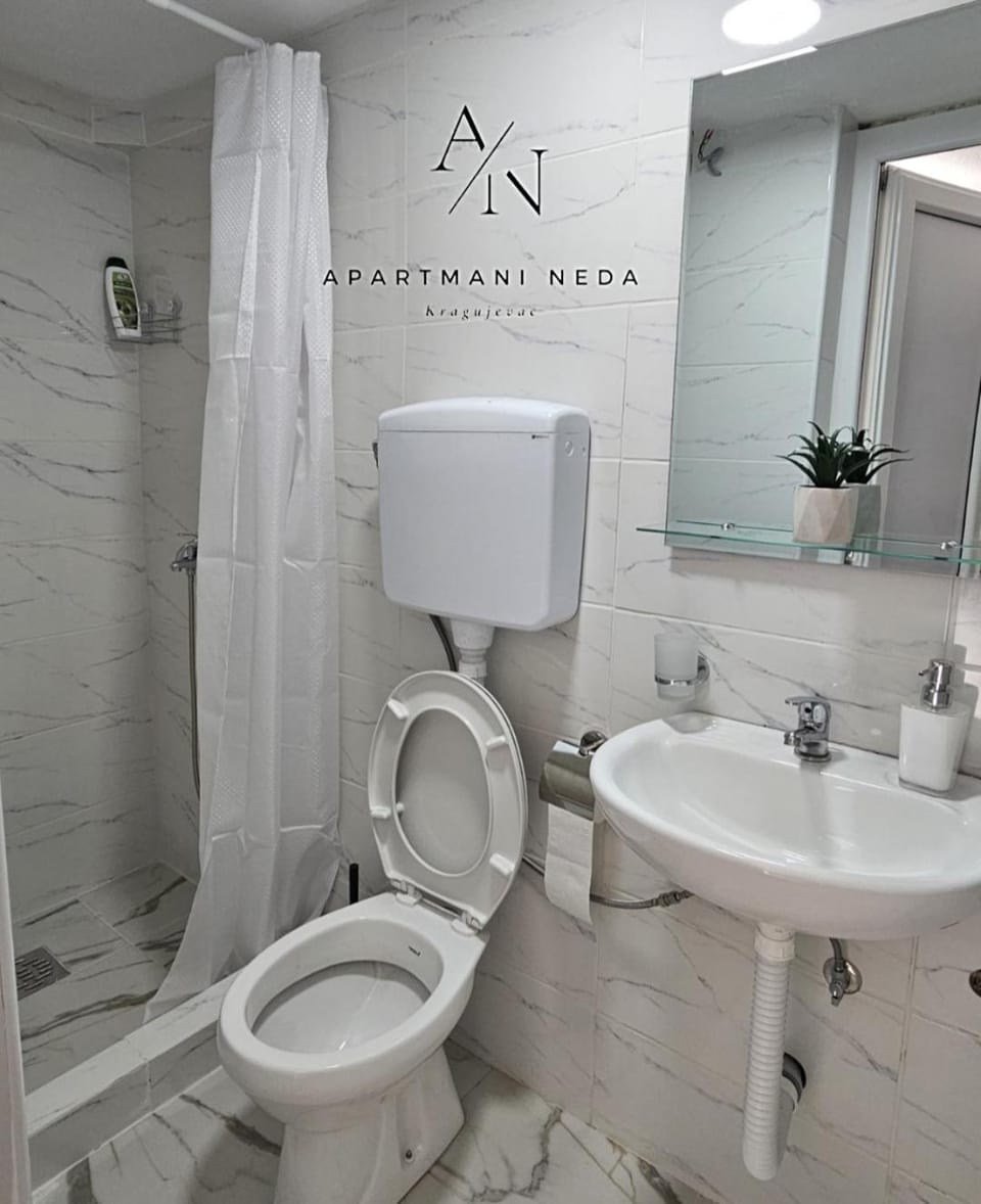 Apartmani Neda Kragujevac Apartment in Serbia