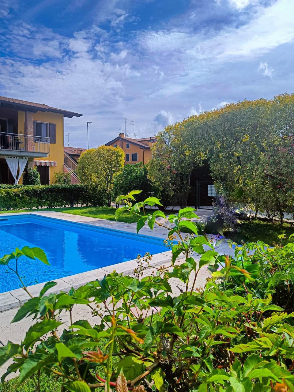Pool view