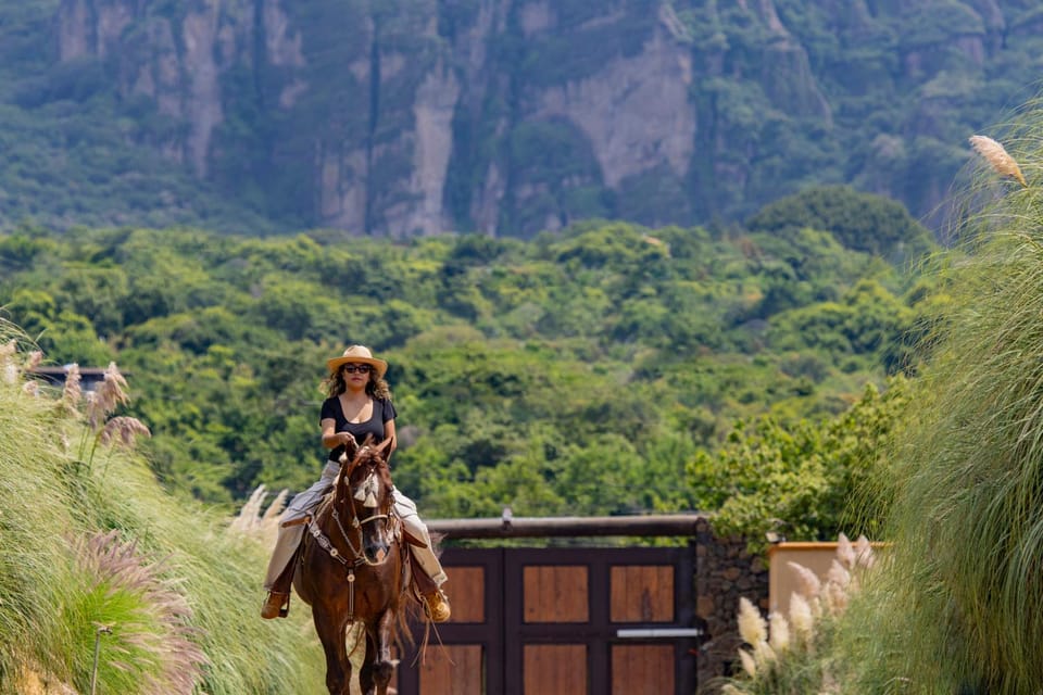 Spring, Day, Natural landscape, Bird's eye view, Mountain view