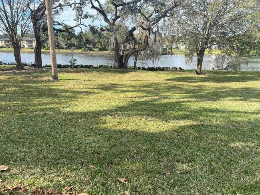 Chic pad in center of Seminole Heights-322 Apartment in Tampa