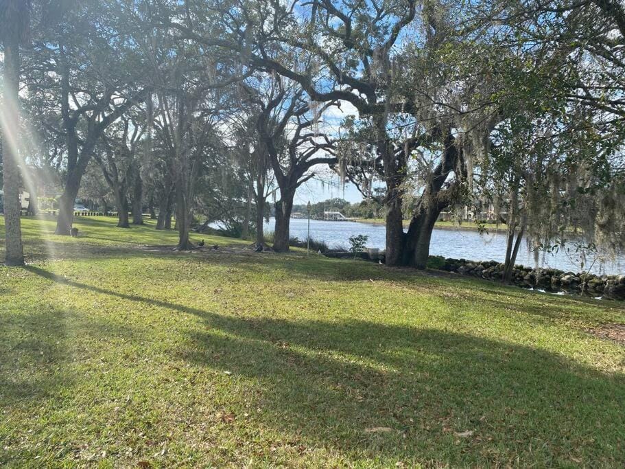 Chic pad in center of Seminole Heights-322 Apartment in Tampa