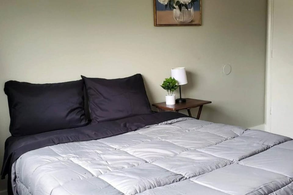 Homey 4BR Home in Converse Near Airforce Base House in San Antonio