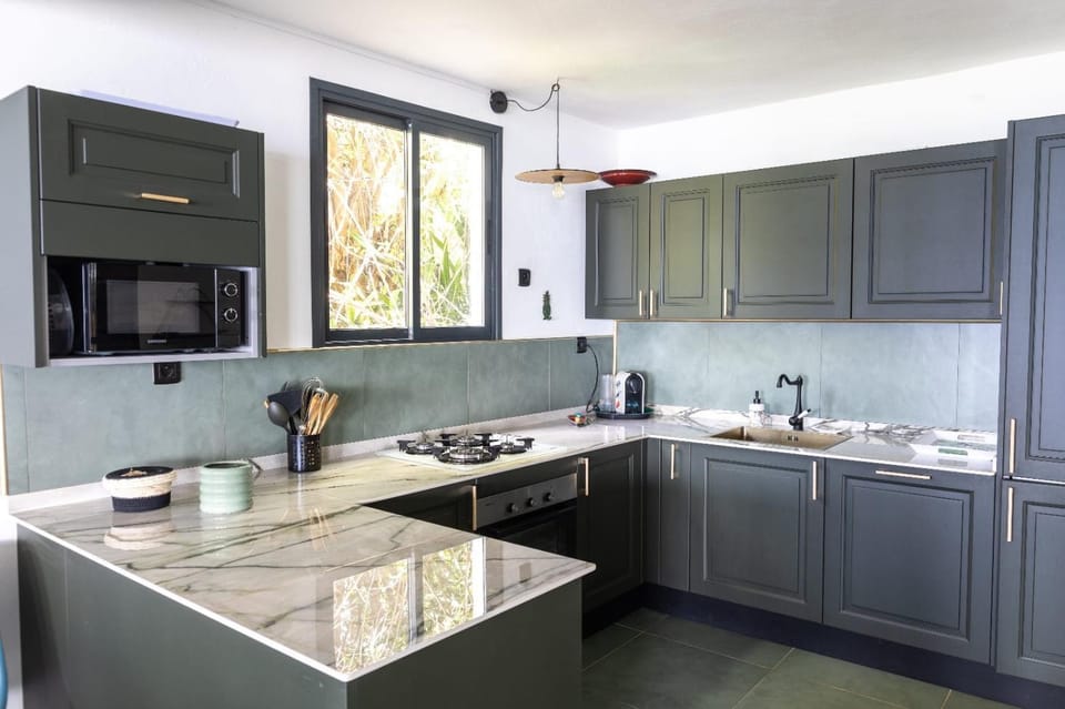 Kitchen or kitchenette, dishwasher, minibar, pet friendly, stove