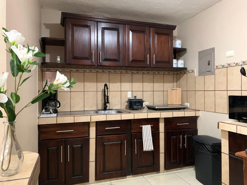Kitchen or kitchenette, minibar, stove
