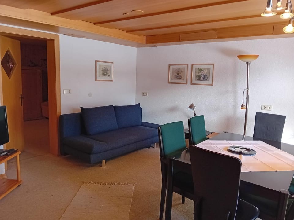 Appartement Isolde Ebnit Apartment in Vorarlberg, Austria