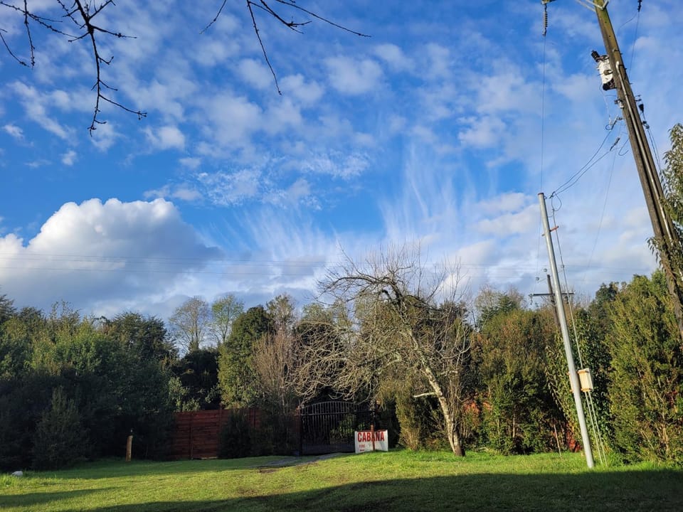 Spring, Day, Natural landscape, Garden, Garden view
