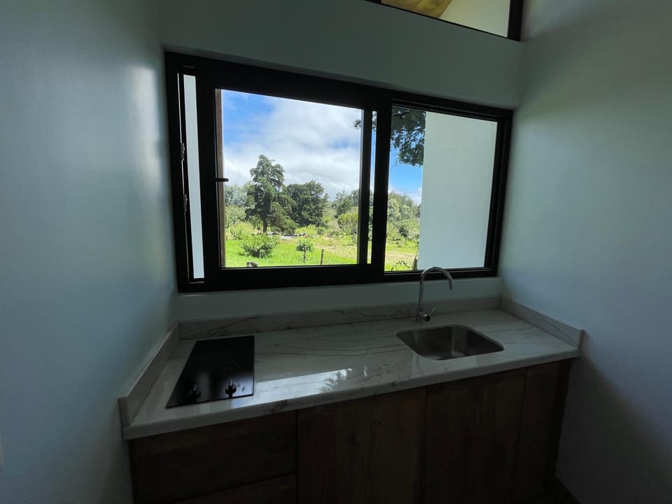 Natural landscape, Kitchen or kitchenette