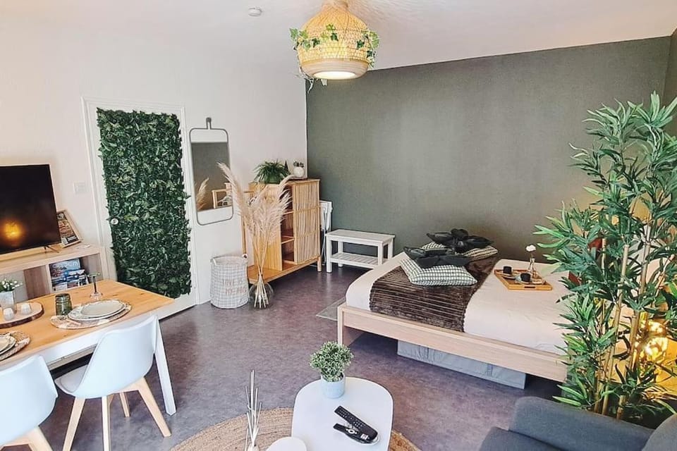 Petit cocon nature centre-ville Apartment in Colmar