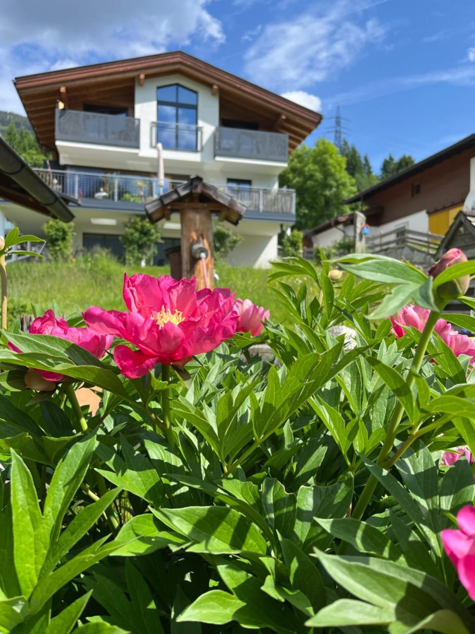 Property building, Spring, Day, Garden, Garden view