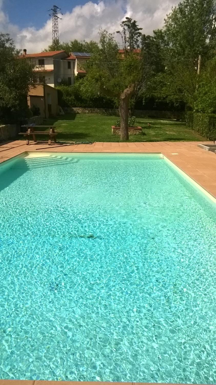 Swimming pool, Swimming pool