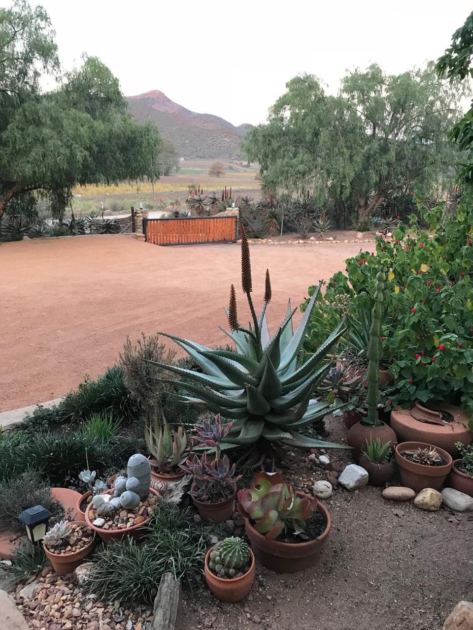 Garden, Parking