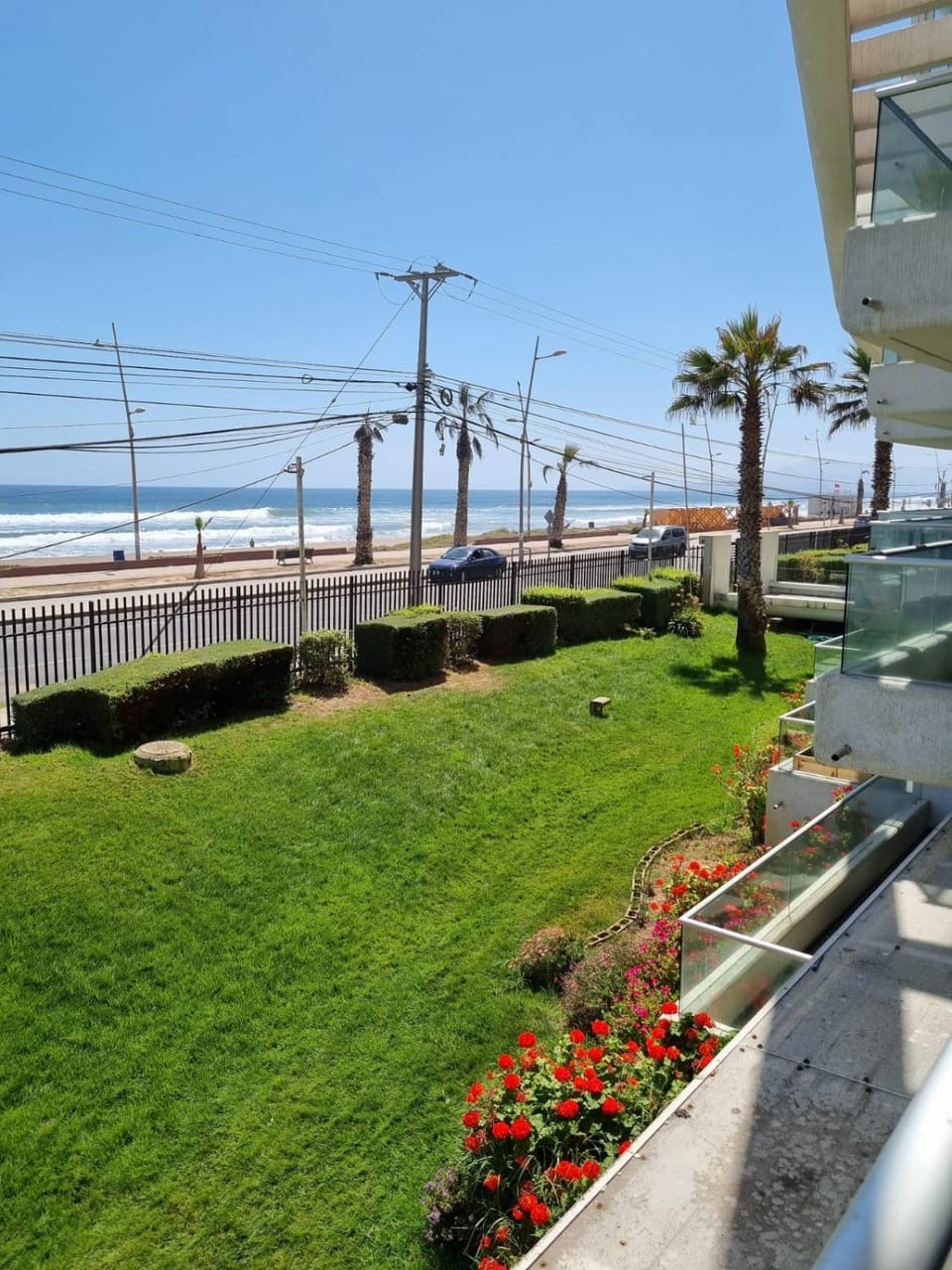 Garden view