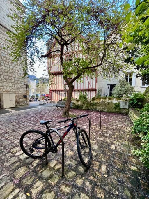 Spring, Day, Cycling