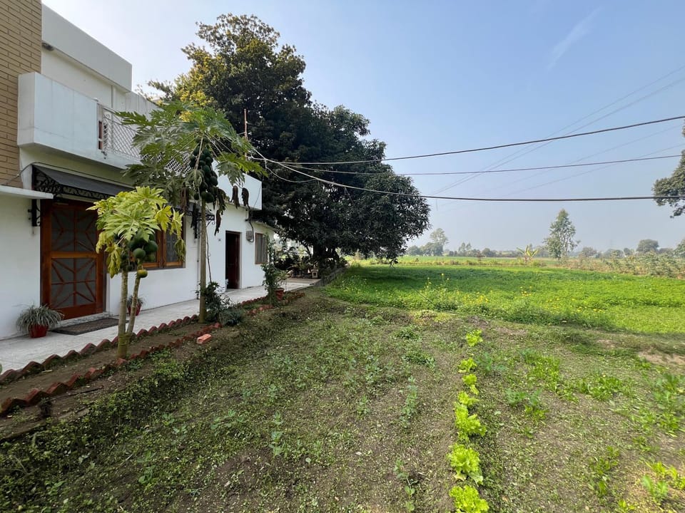 Property building, Natural landscape, Garden, Garden view