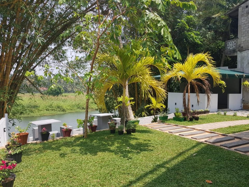 Day, Natural landscape, Garden, Garden view, River view