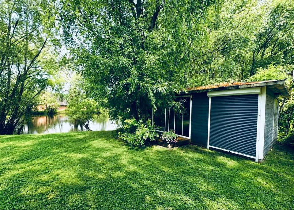 Natural landscape, Garden, Seating area, Garden view