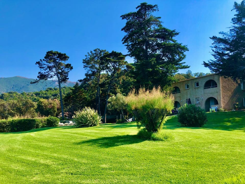Property building, Natural landscape, Garden, Garden view