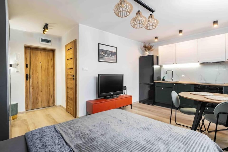 Bed, TV and multimedia, Kitchen or kitchenette, Photo of the whole room