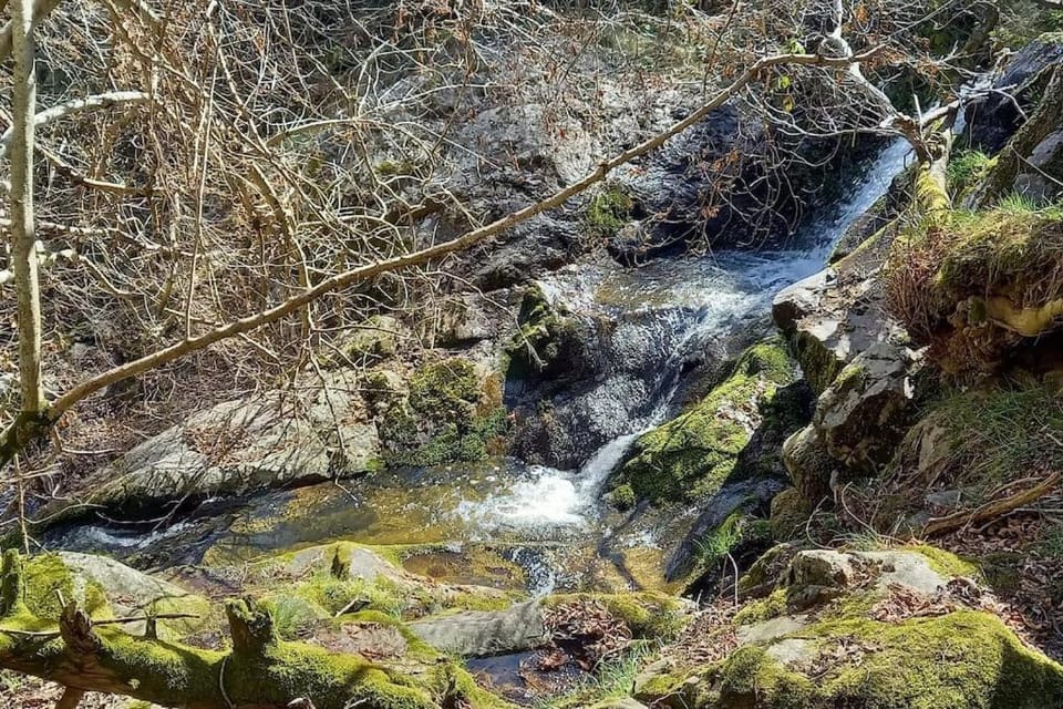 Une pause Champêtre : gîte avec terrasse Apartment in Provence-Alpes-Côte d'Azur