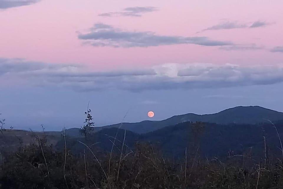 Une pause Champêtre : gîte avec terrasse Apartment in Provence-Alpes-Côte d'Azur