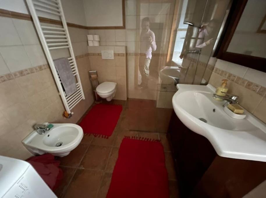 Traditional Slovenian house Apartment in Slovenia